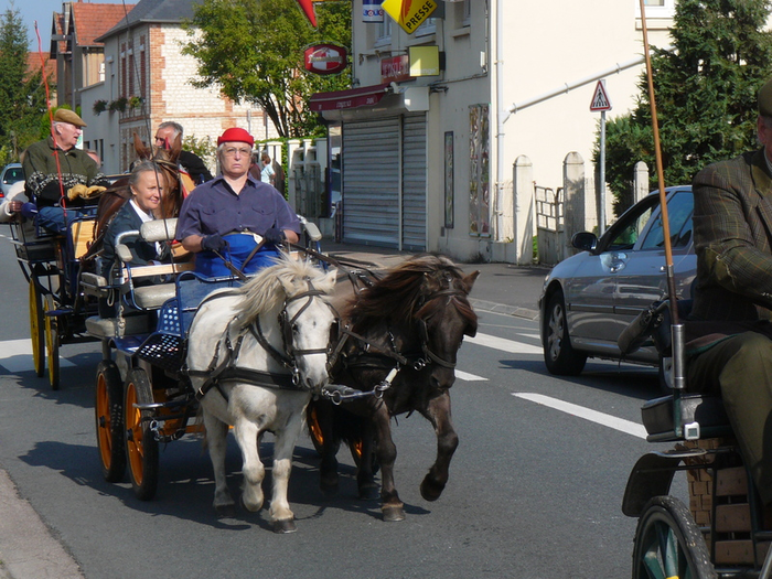 defile-fete-cheval-2008-1.png